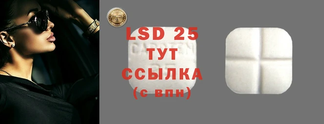 2c-b Алзамай