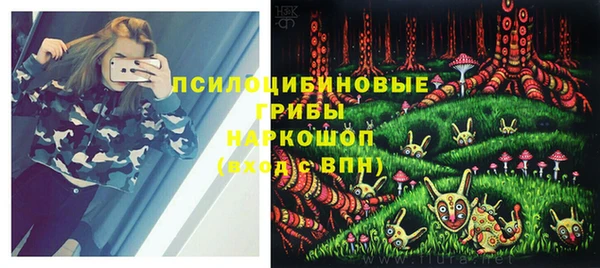 сатива Абаза