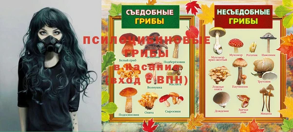 2c-b Алзамай
