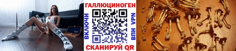 кракен маркетплейс  Фёдоровский  Галлюциногенные грибы MAGIC MUSHROOMS 